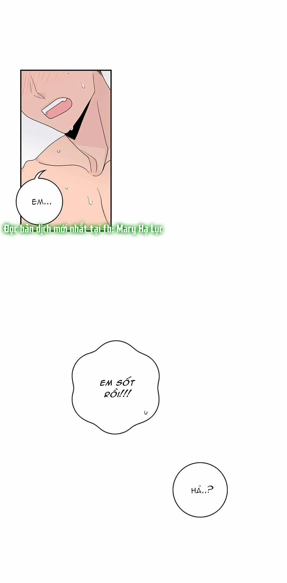 Toy Complex 40.2 trang 6