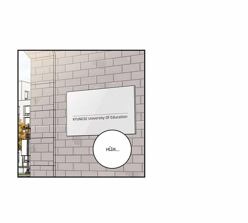 Toy Complex 41.1 trang 5