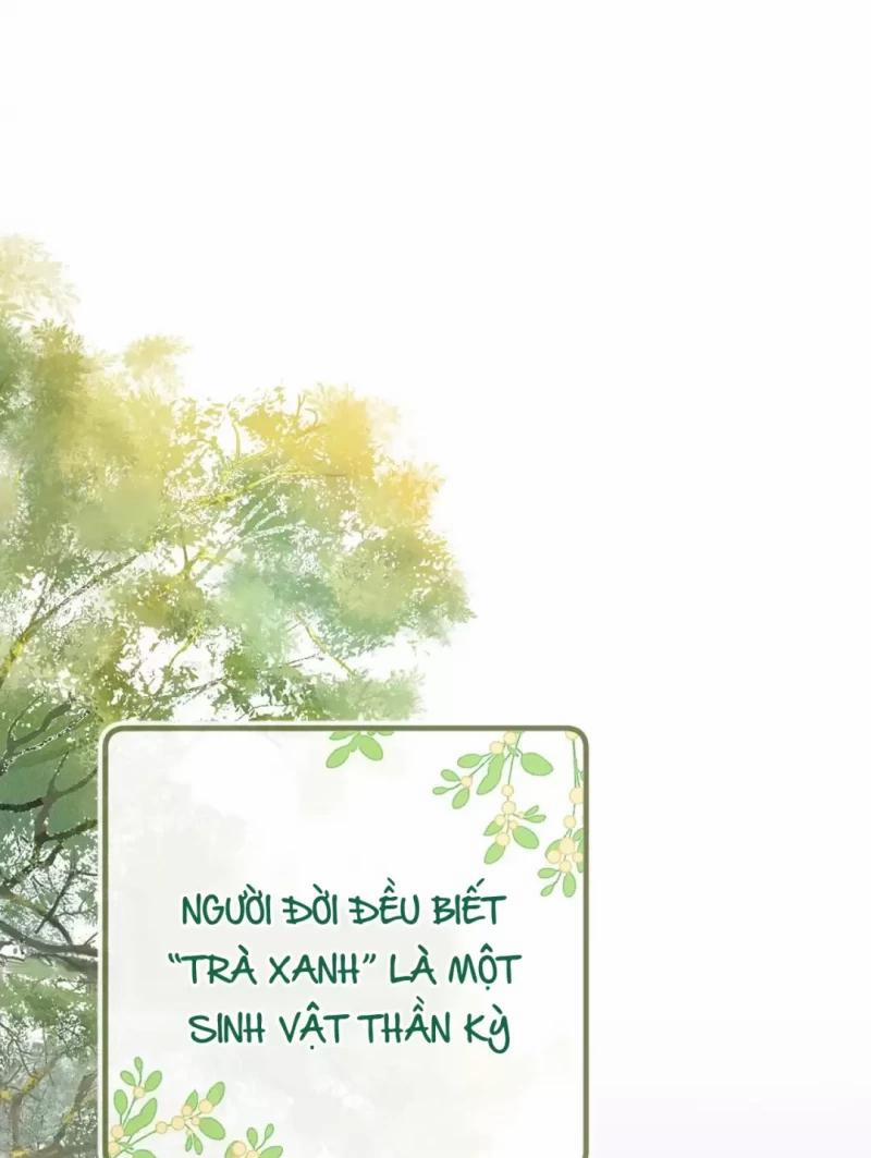 Trà Xanh Lv Max Xuyên Thành Tiểu Đáng Thương 0 trang 1