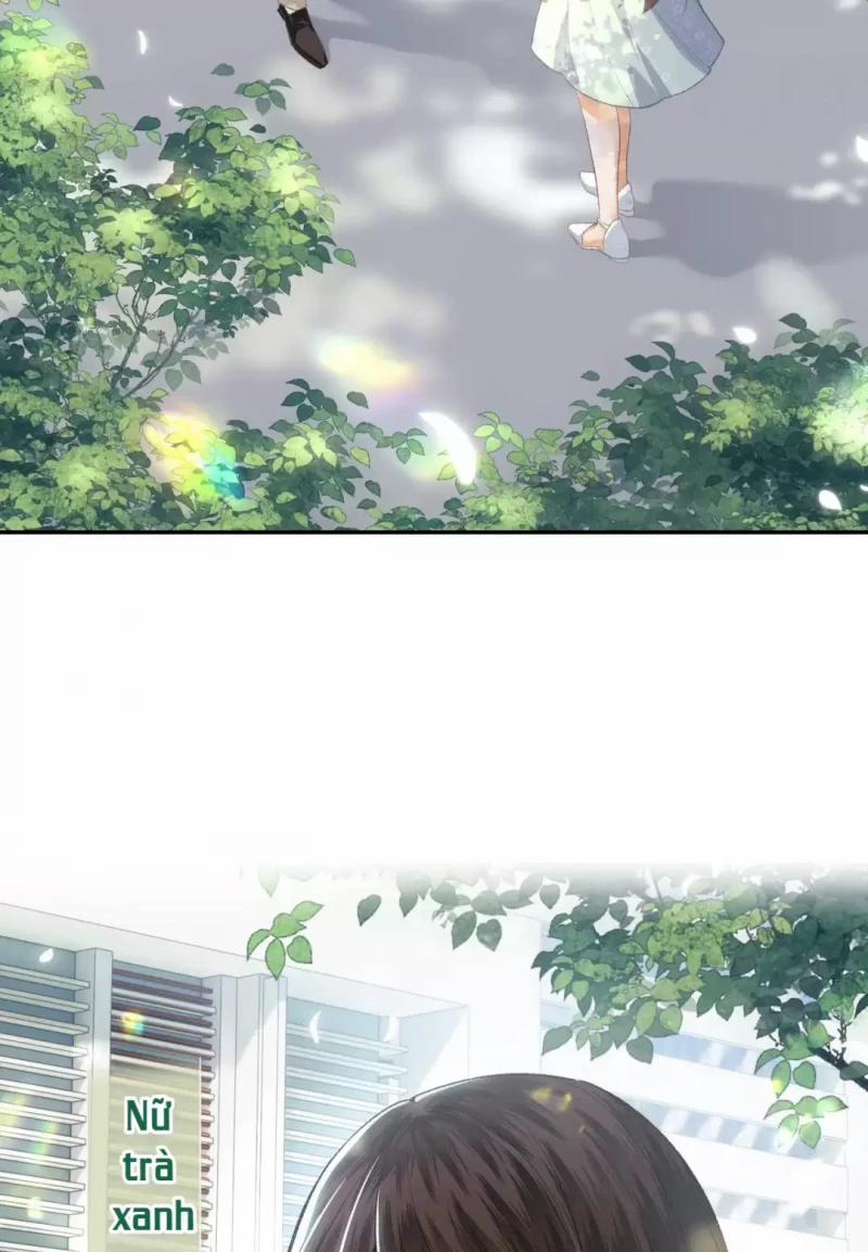 Trà Xanh Lv Max Xuyên Thành Tiểu Đáng Thương 1 trang 6