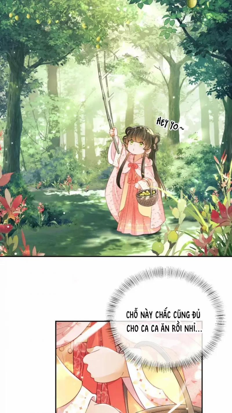 Trà Xanh Lv Max Xuyên Thành Tiểu Đáng Thương 16 trang 17