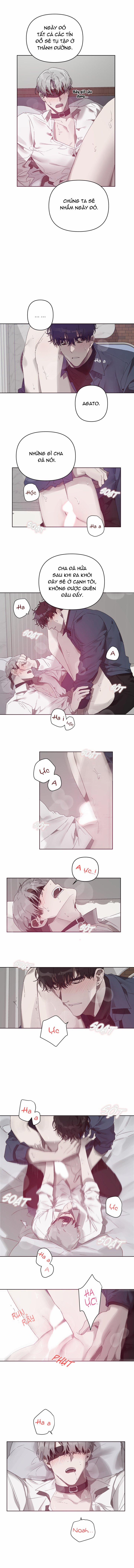 Trái Ngọt Nơi Đầu Lưỡi 5 trang 4