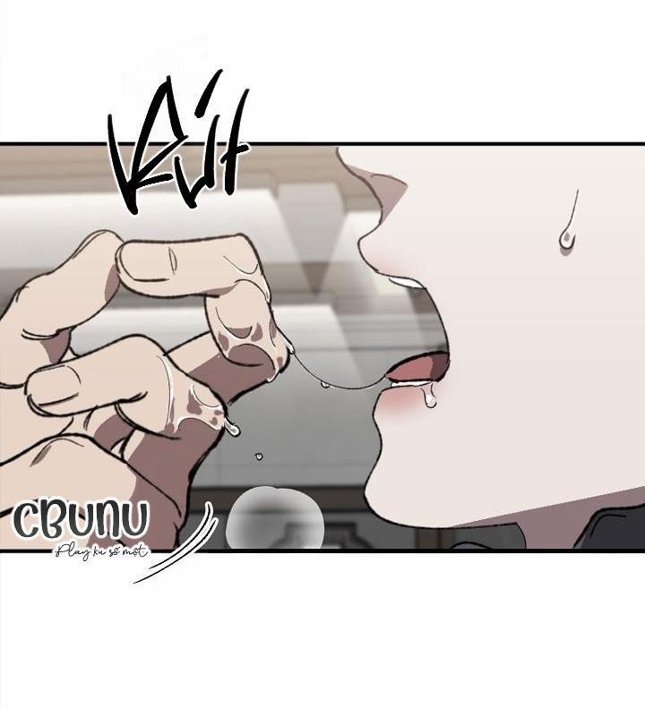 Tráo Đổi 11 trang 61