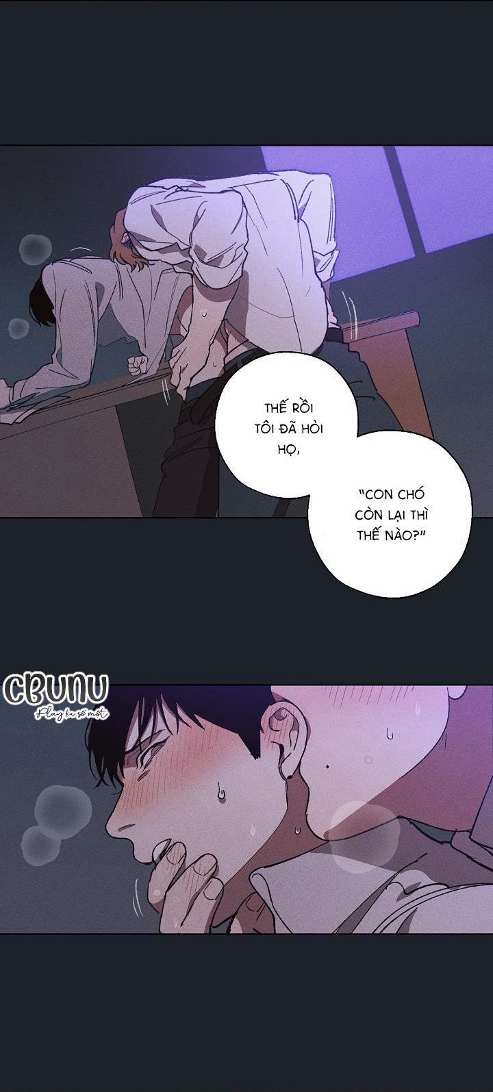 Tráo Đổi 16 trang 13