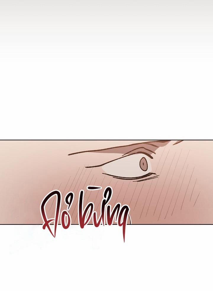 Tráo Đổi 20 trang 13