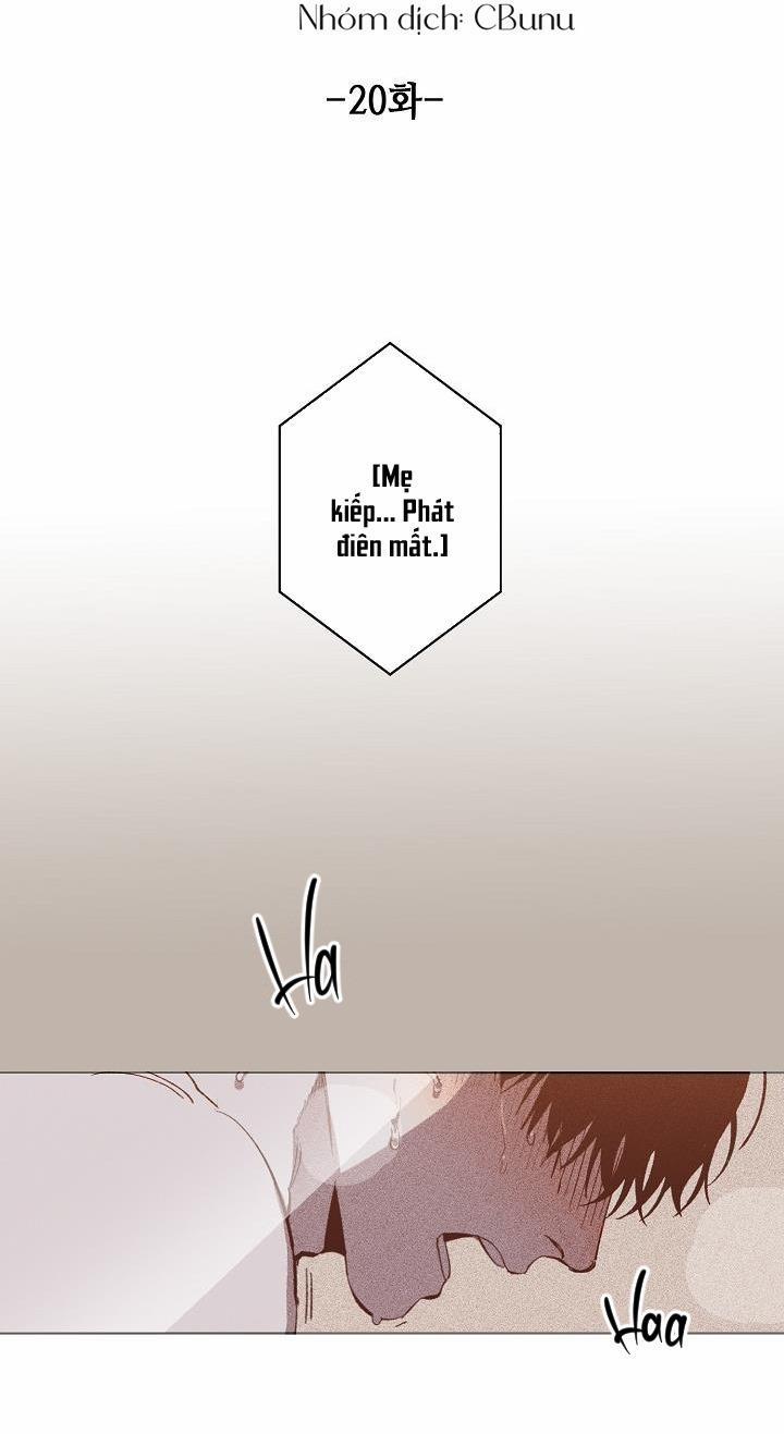 Tráo Đổi 20 trang 22