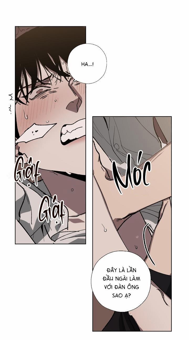 Tráo Đổi 21 trang 9