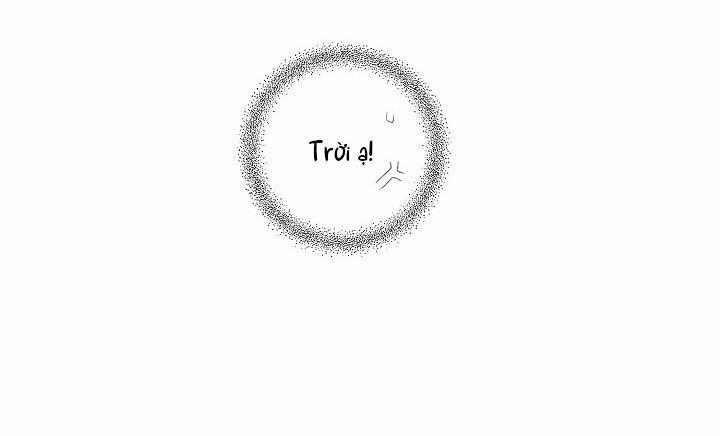 Tráo Đổi 22 trang 24