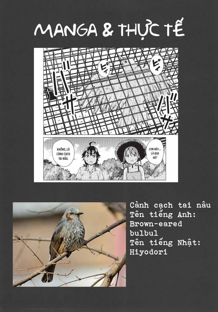 Trap Girl 6 trang 33