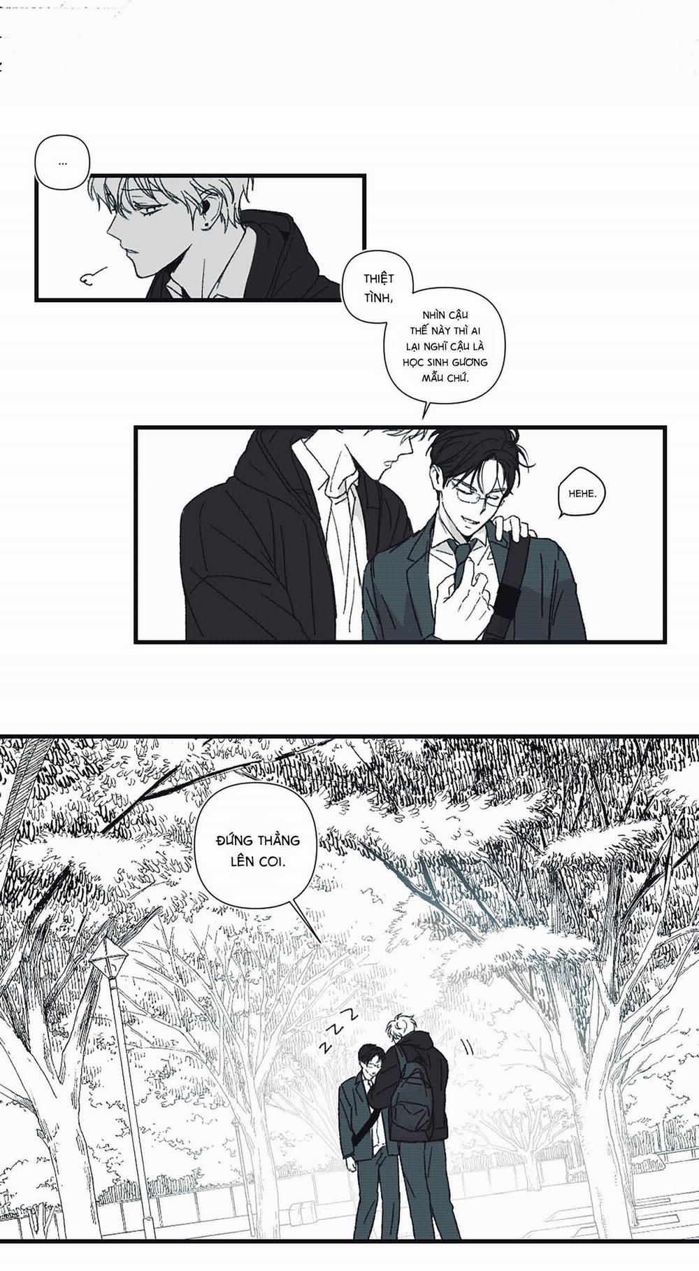 Triangle And Circle 1 trang 8