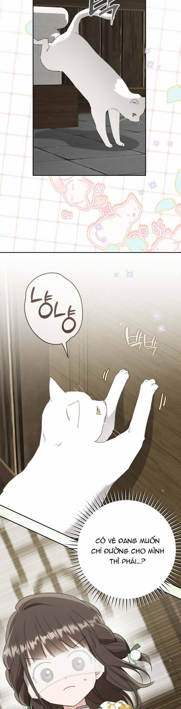 Trở Thành Cô Cháu Gái Bị Khinh Miệt Của Gia Tộc Võ Lâm 86 trang 43