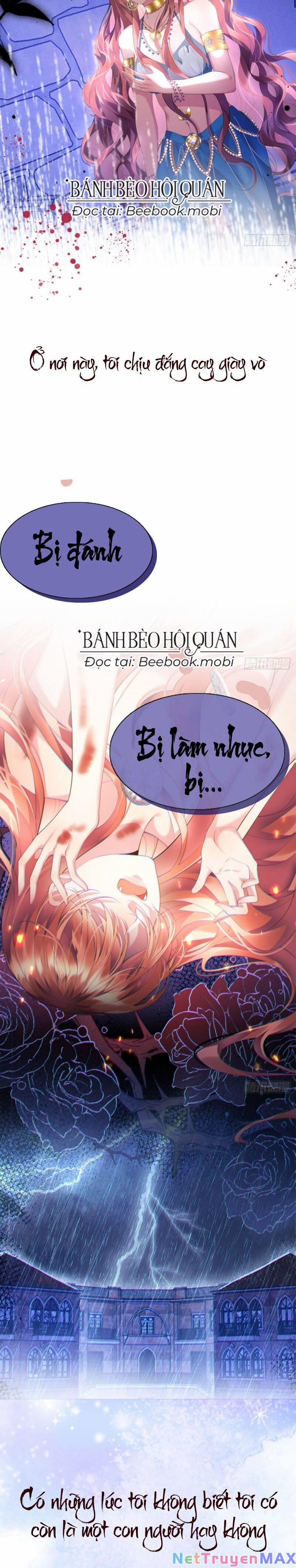 Trở Thành Đồ Chơi Nguy Hiểm Của Vương Tước 1 trang 3