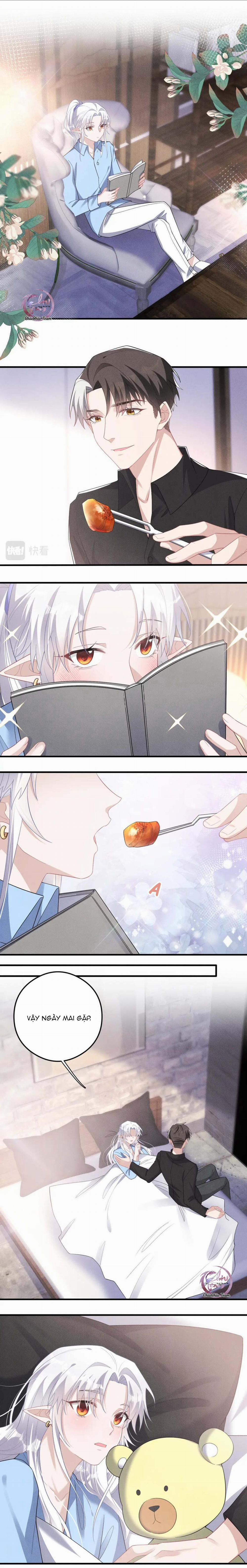 Trói Chặt Sói Của Tôi 80 ❗️END❗️ trang 5