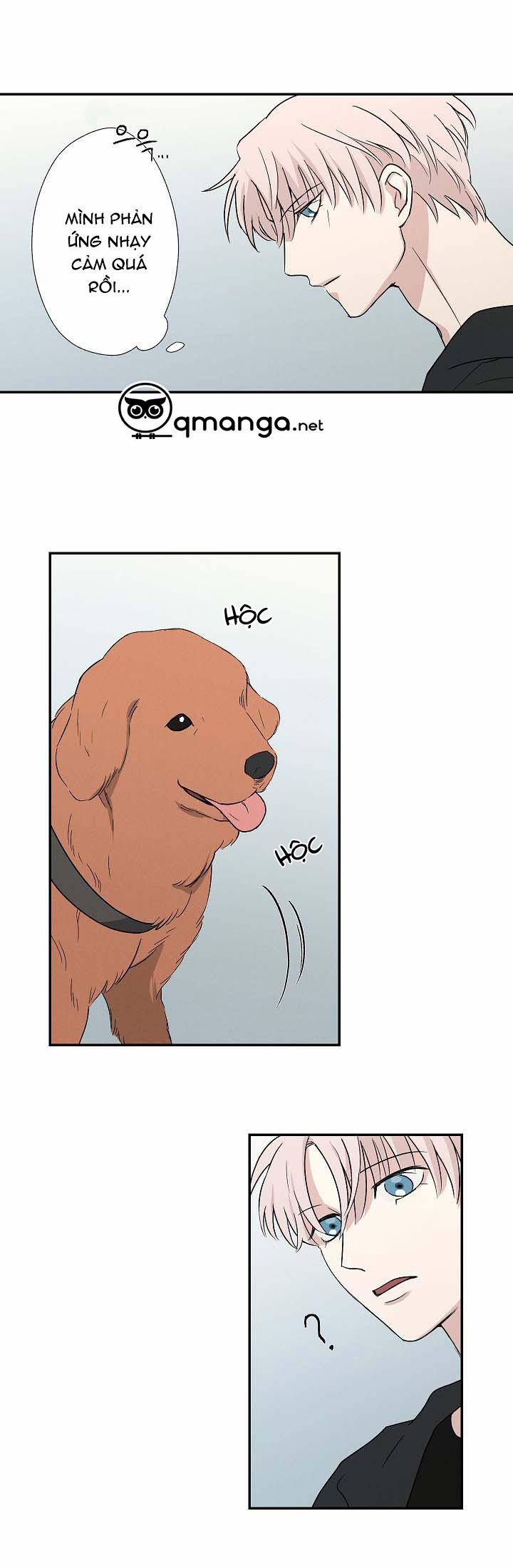 Trốn Tìm 13 trang 2