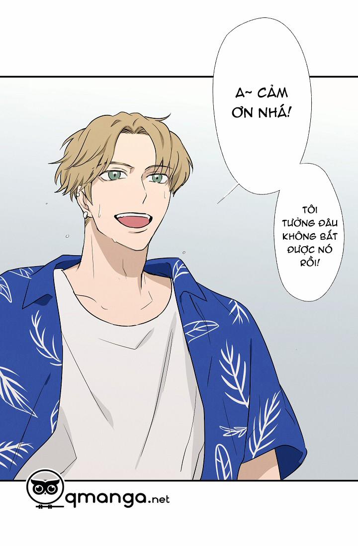 Trốn Tìm 13 trang 4