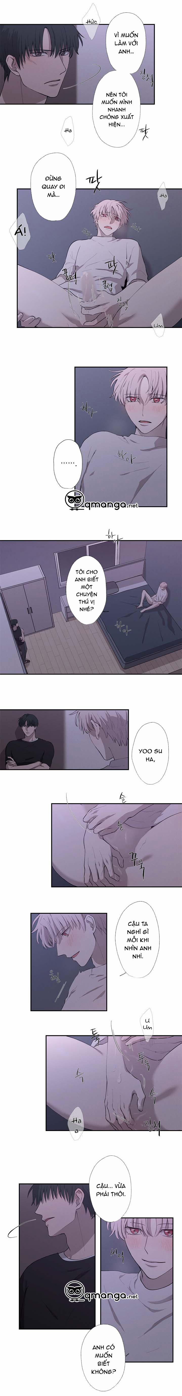 Trốn Tìm 15 trang 5