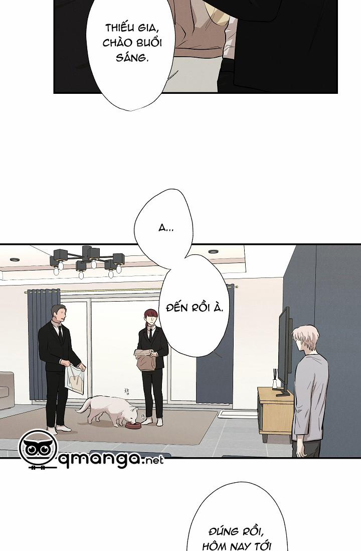 Trốn Tìm 19 trang 6