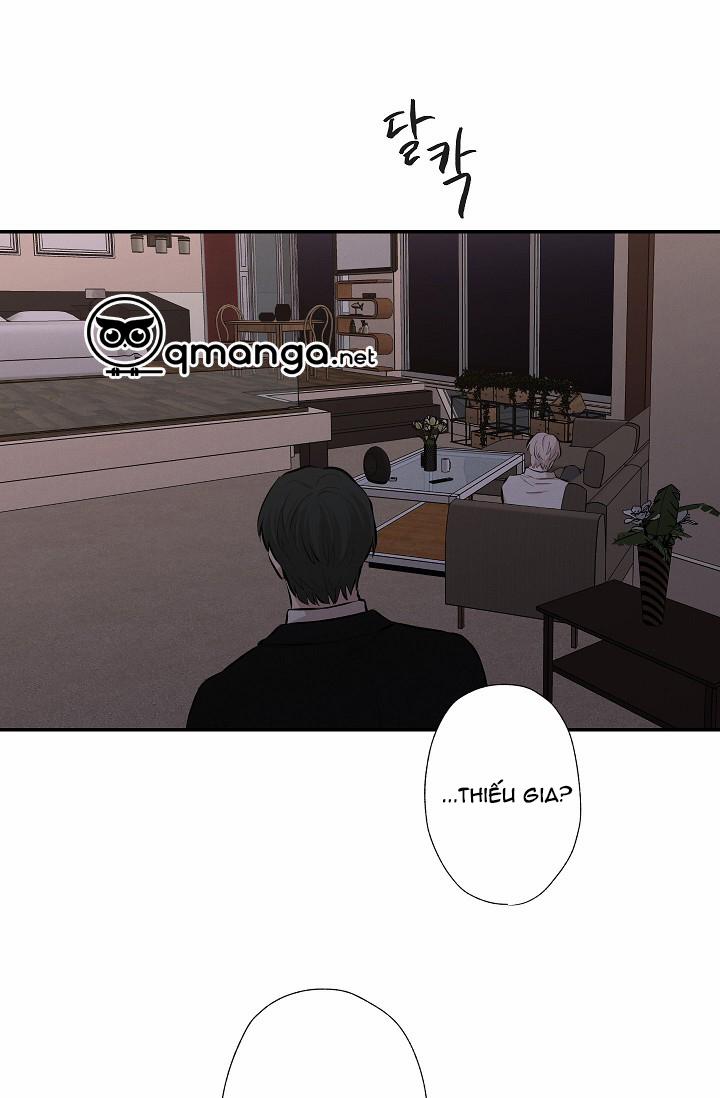 Trốn Tìm 20 trang 47