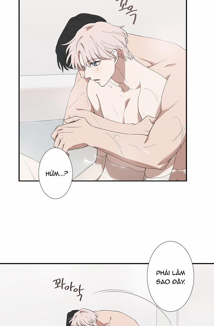 Trốn Tìm 28 trang 5