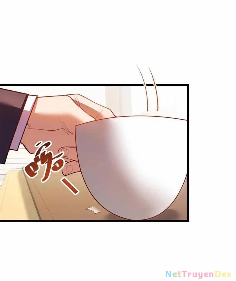 Trọng Sinh Không Làm Chạn Vương, Tôi Một Mình Nạp Game Thăng Cấp 181 trang 17