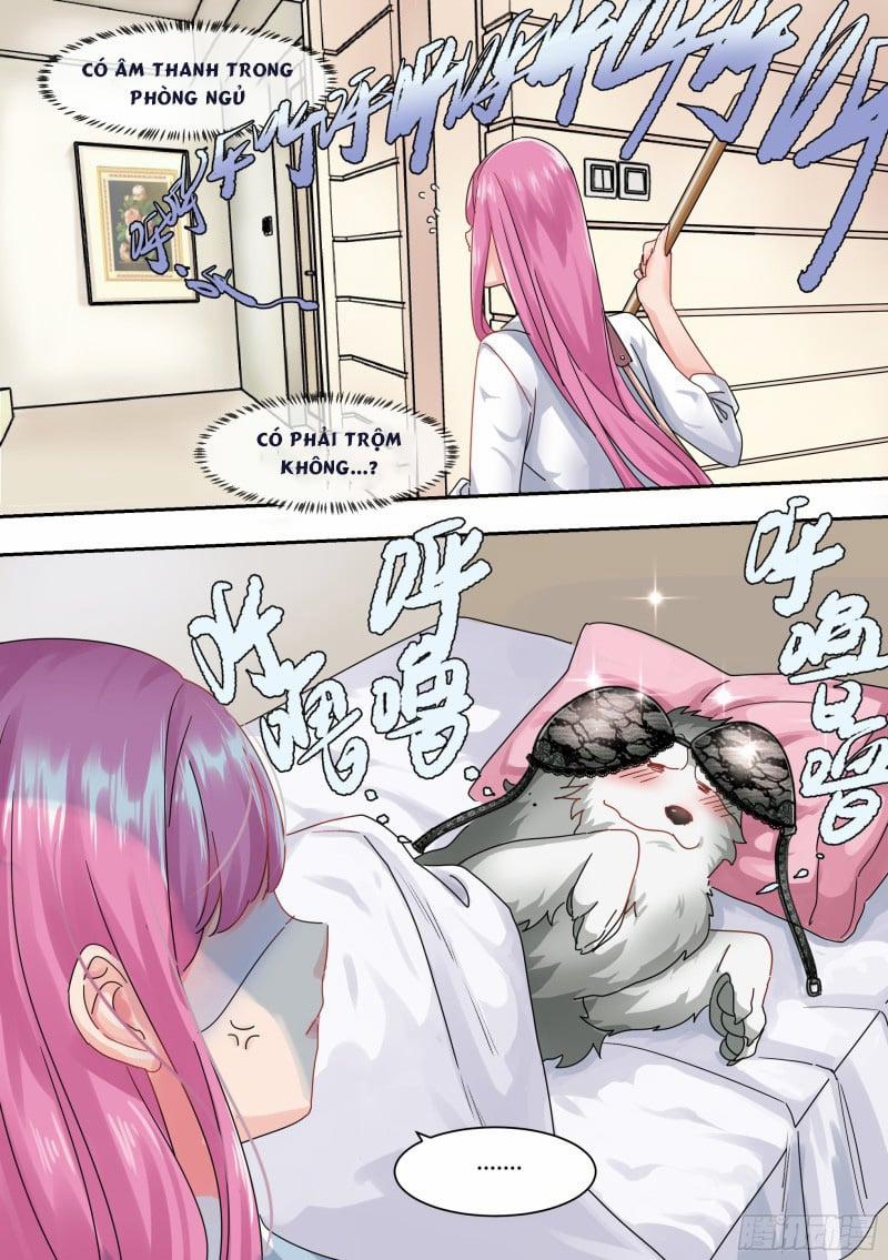 Trọng Sinh Thành Chó Của Nữ Thần 1 trang 12