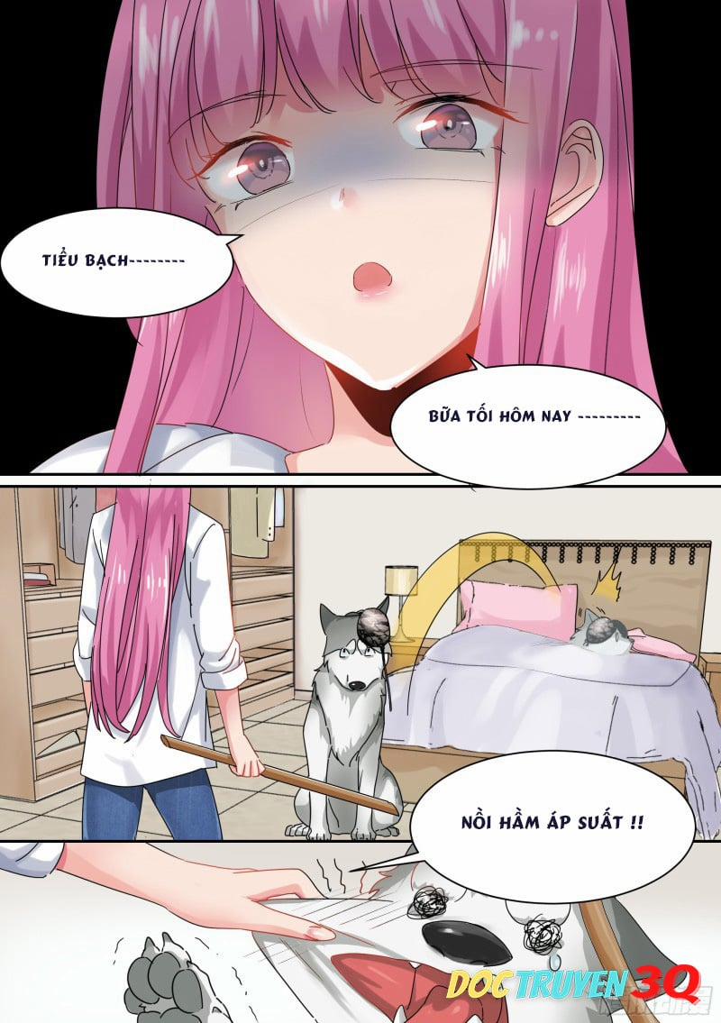 Trọng Sinh Thành Chó Của Nữ Thần 1 trang 13