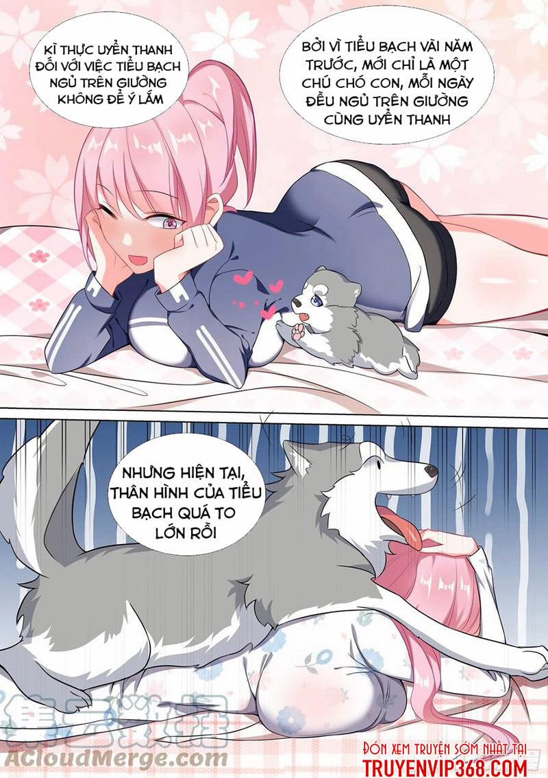 Trọng Sinh Thành Chó Của Nữ Thần 48 trang 8