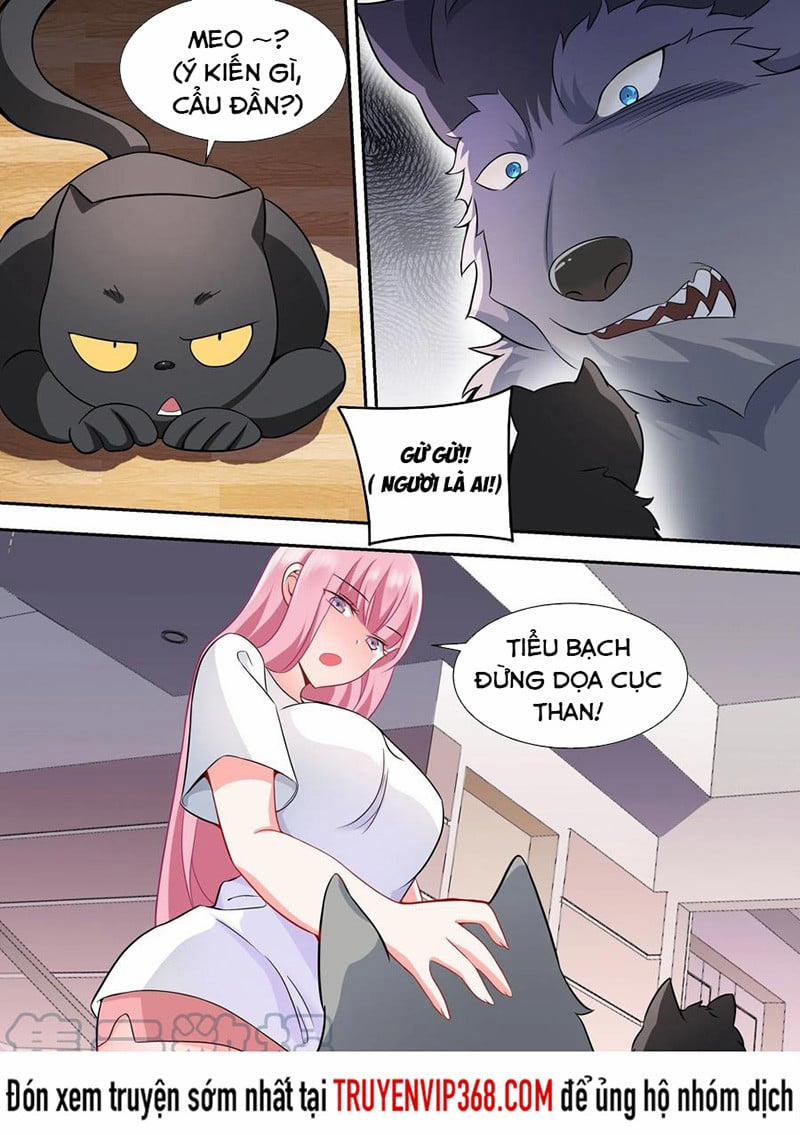 Trọng Sinh Thành Chó Của Nữ Thần 49 trang 5