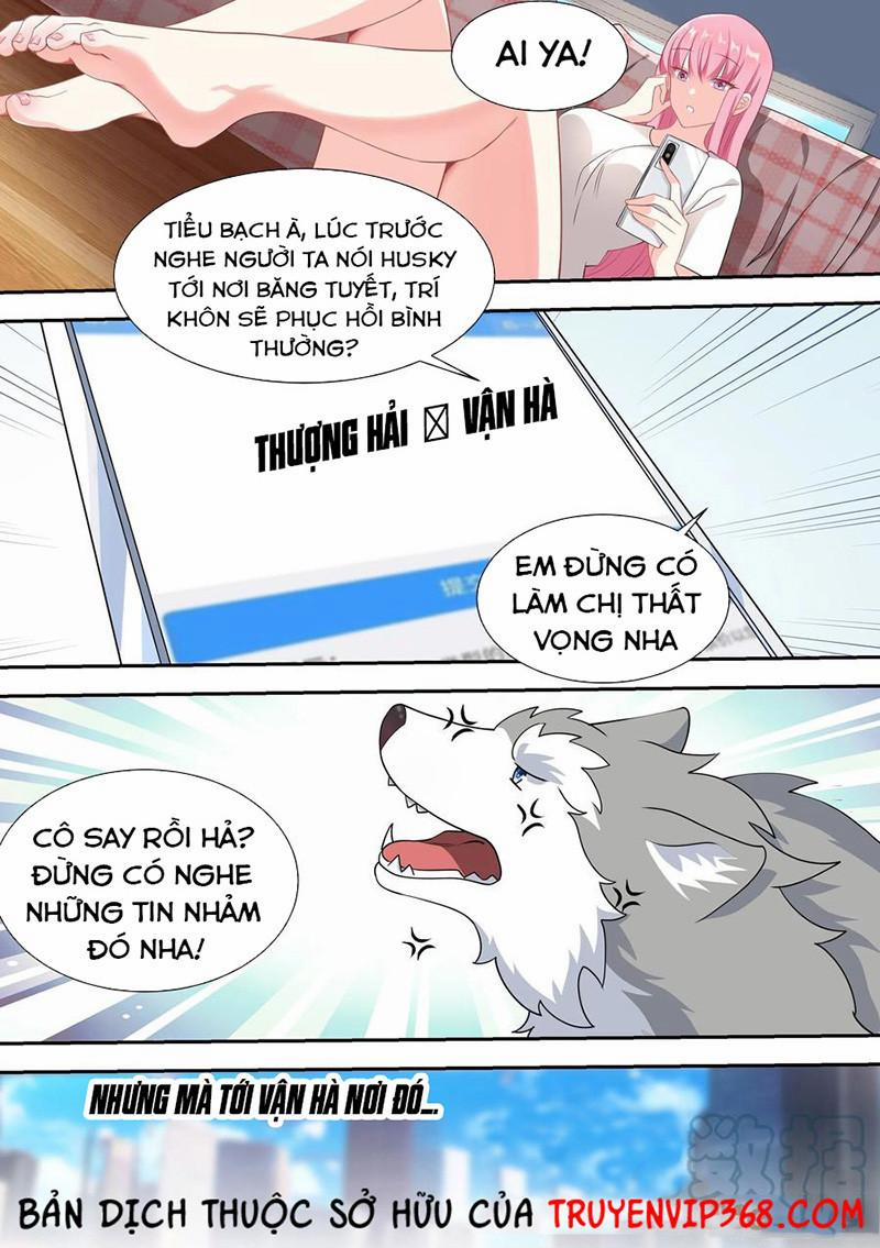 Trọng Sinh Thành Chó Của Nữ Thần 52 trang 9