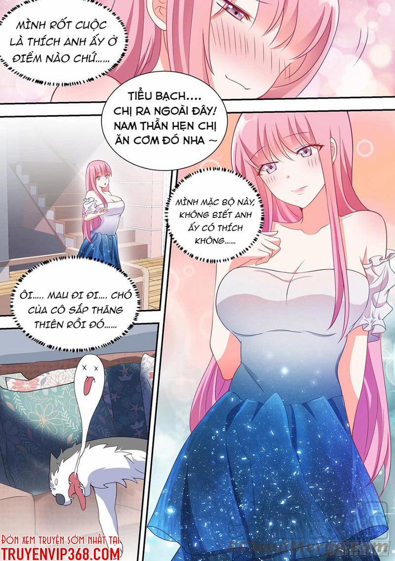 Trọng Sinh Thành Chó Của Nữ Thần 54 trang 6