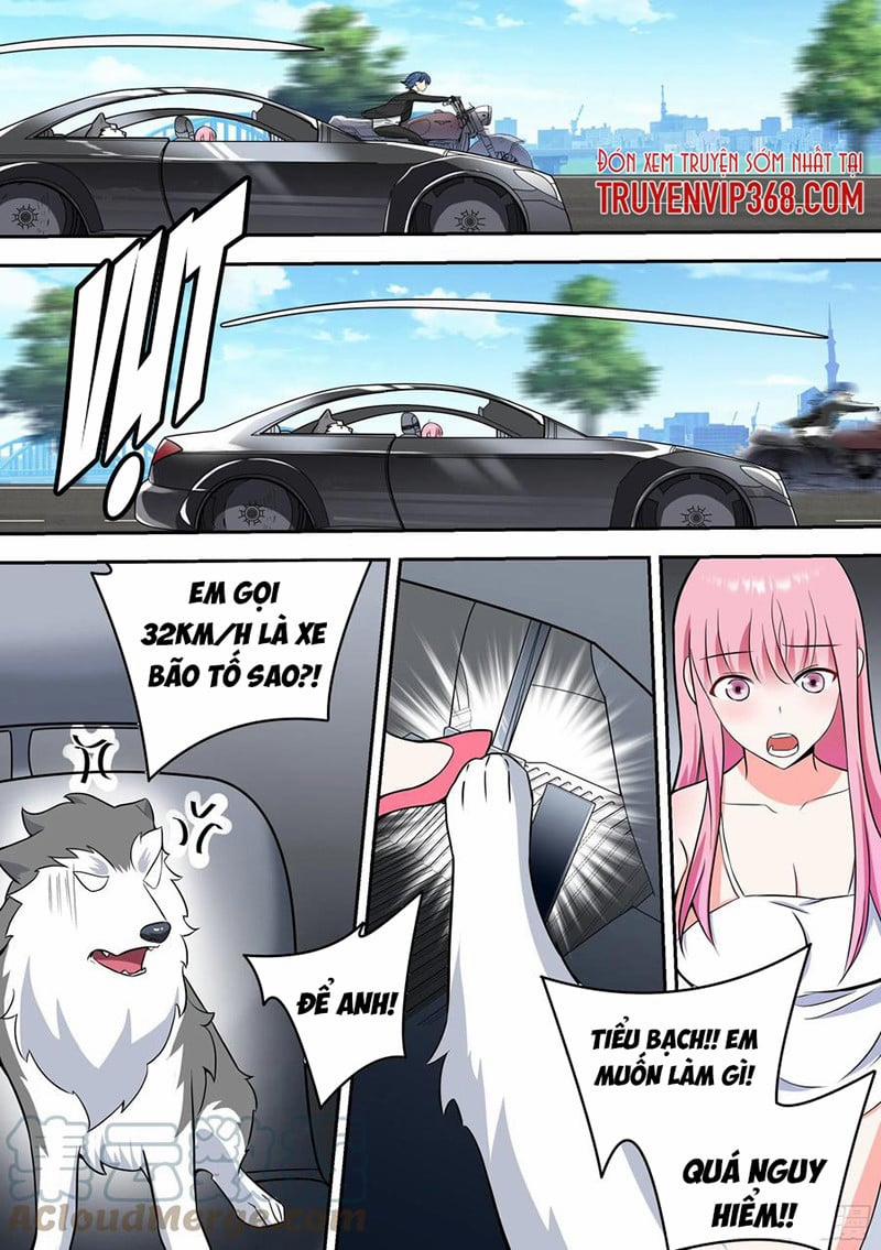 Trọng Sinh Thành Chó Của Nữ Thần 63 trang 3