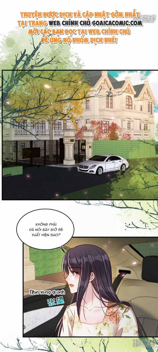 Trọng Sinh Trở Lại: Sủng Nịch Độc Nhất Vô Nhị 339 trang 0