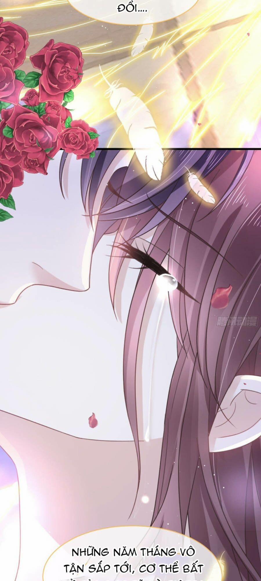 Trọng Sinh Trở Thành Món Tráng Miệng Của Tổng Tài Ma Cà Rồng 1 trang 9