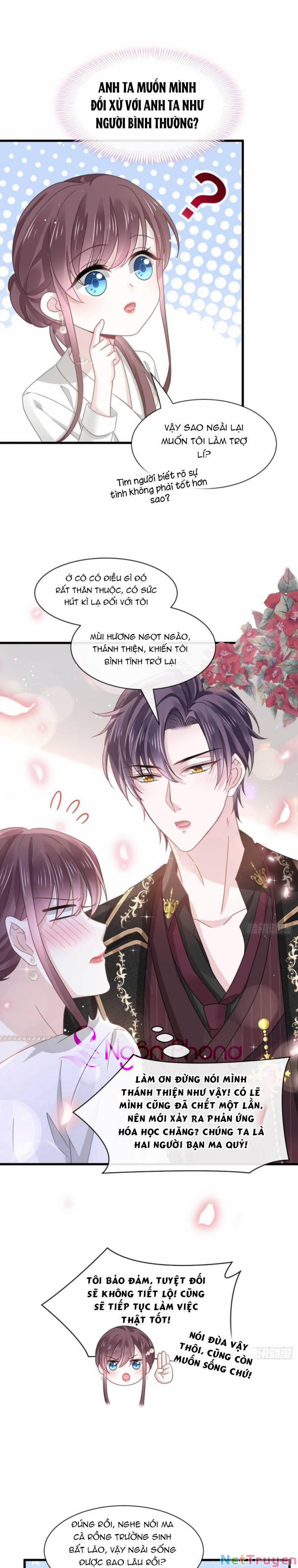 Trọng Sinh Trở Thành Món Tráng Miệng Của Tổng Tài Ma Cà Rồng 24 trang 4