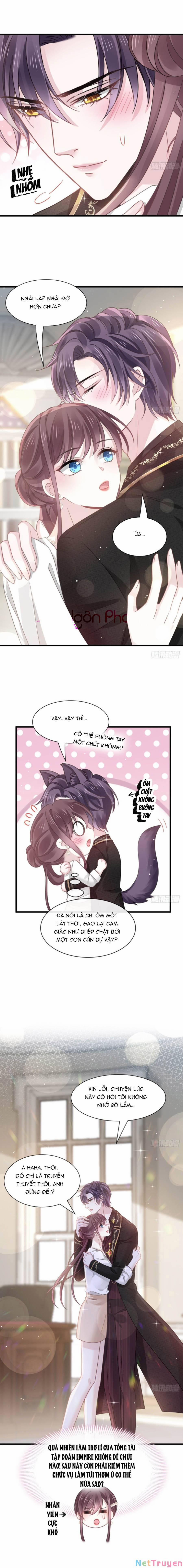 Trọng Sinh Trở Thành Món Tráng Miệng Của Tổng Tài Ma Cà Rồng 24 trang 8