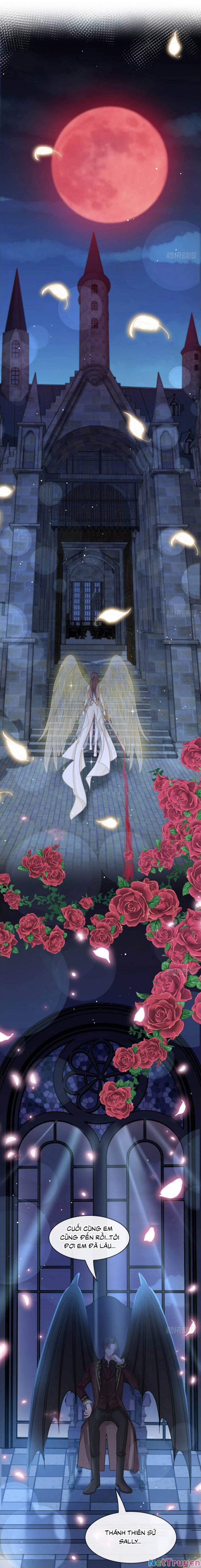 Trọng Sinh Trở Thành Món Tráng Miệng Của Tổng Tài Ma Cà Rồng 25 trang 0