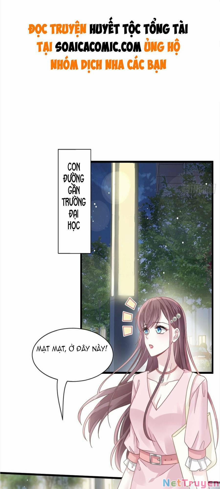 Trọng Sinh Trở Thành Món Tráng Miệng Của Tổng Tài Ma Cà Rồng 39 trang 0