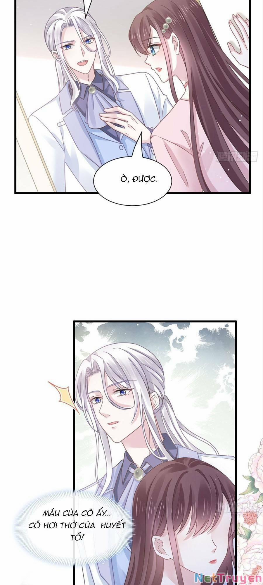 Trọng Sinh Trở Thành Món Tráng Miệng Của Tổng Tài Ma Cà Rồng 39 trang 17