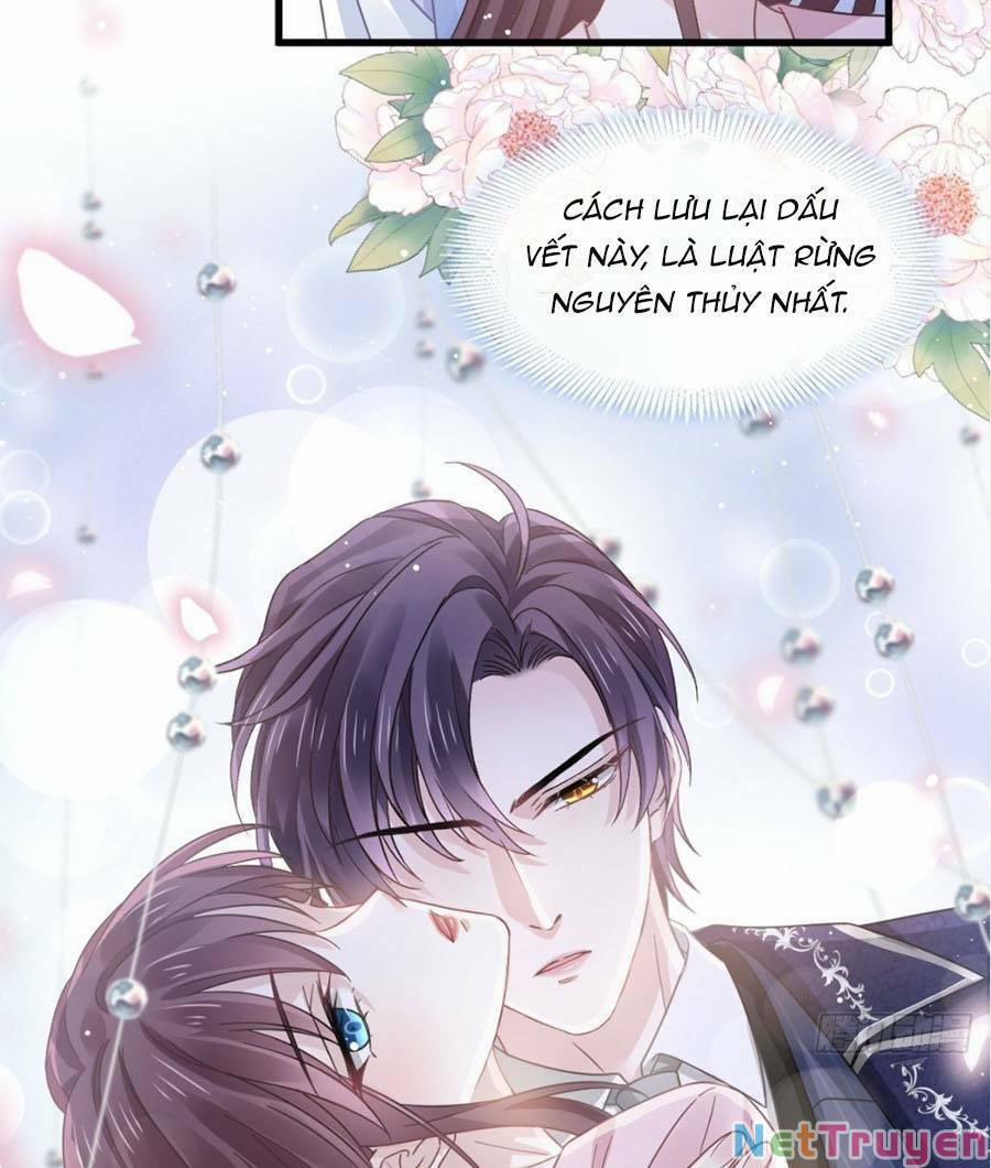 Trọng Sinh Trở Thành Món Tráng Miệng Của Tổng Tài Ma Cà Rồng 39 trang 18