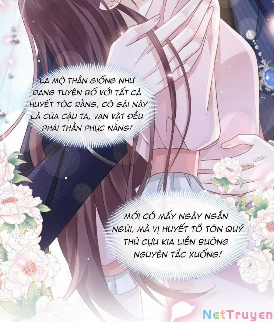 Trọng Sinh Trở Thành Món Tráng Miệng Của Tổng Tài Ma Cà Rồng 39 trang 19