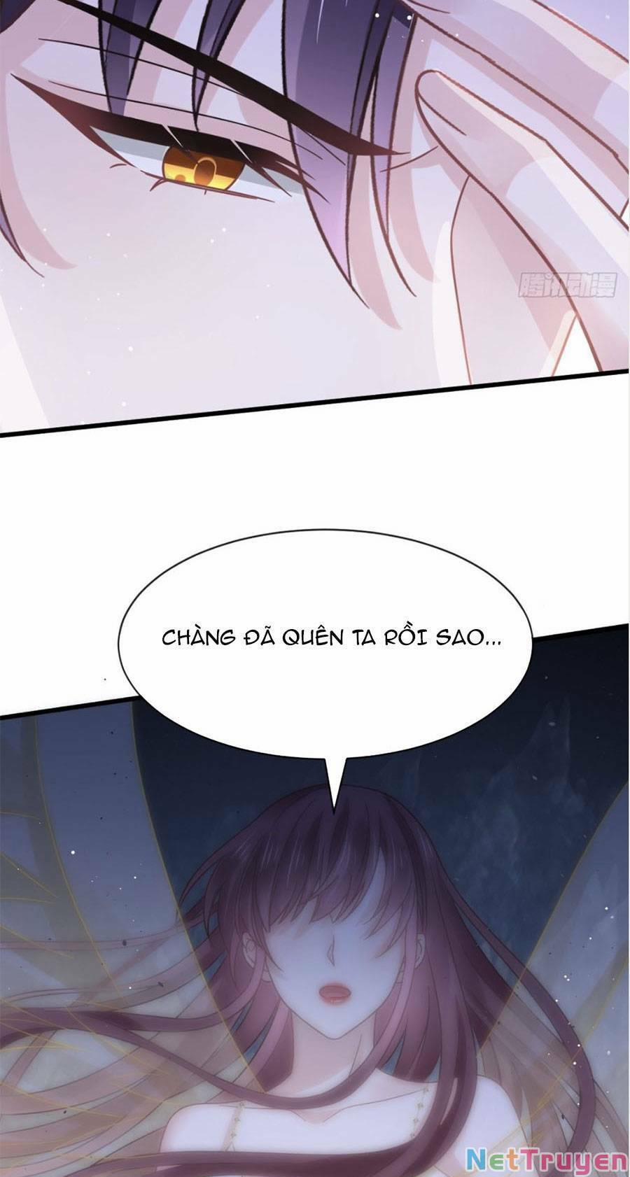 Trọng Sinh Trở Thành Món Tráng Miệng Của Tổng Tài Ma Cà Rồng 40 trang 11