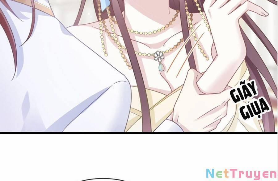 Trọng Sinh Trở Thành Món Tráng Miệng Của Tổng Tài Ma Cà Rồng 42 trang 6