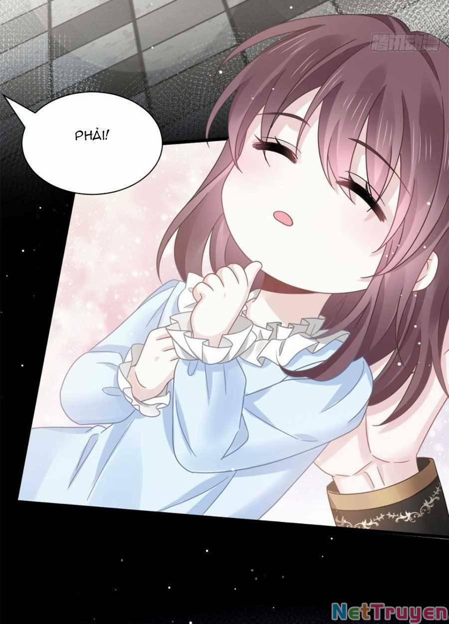 Trọng Sinh Trở Thành Món Tráng Miệng Của Tổng Tài Ma Cà Rồng 50 trang 10