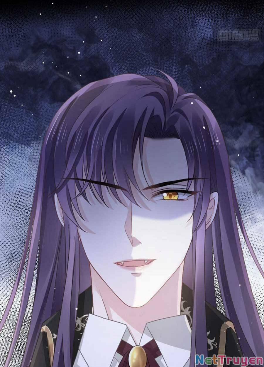 Trọng Sinh Trở Thành Món Tráng Miệng Của Tổng Tài Ma Cà Rồng 50 trang 11