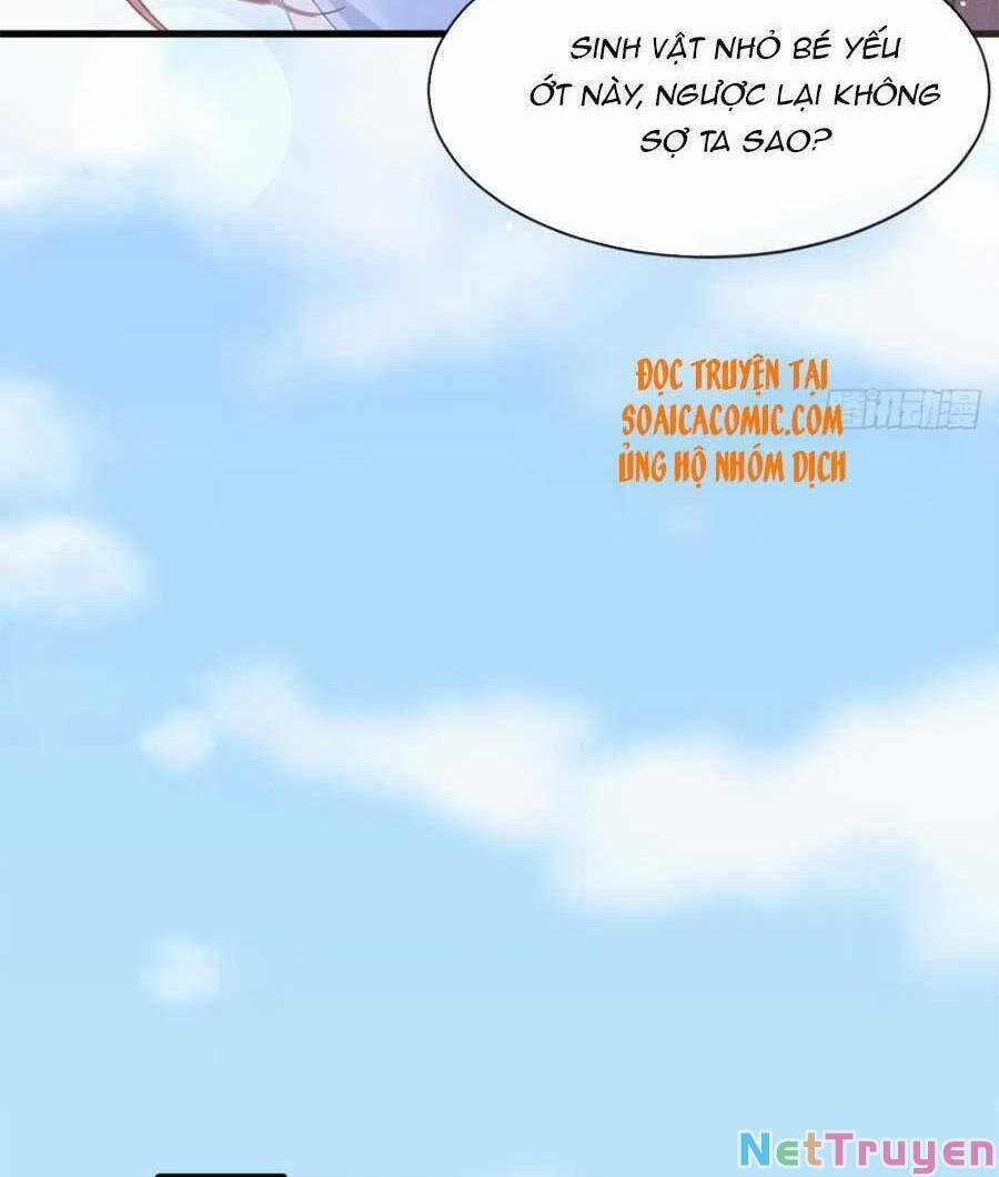 Trọng Sinh Trở Thành Món Tráng Miệng Của Tổng Tài Ma Cà Rồng 50 trang 16