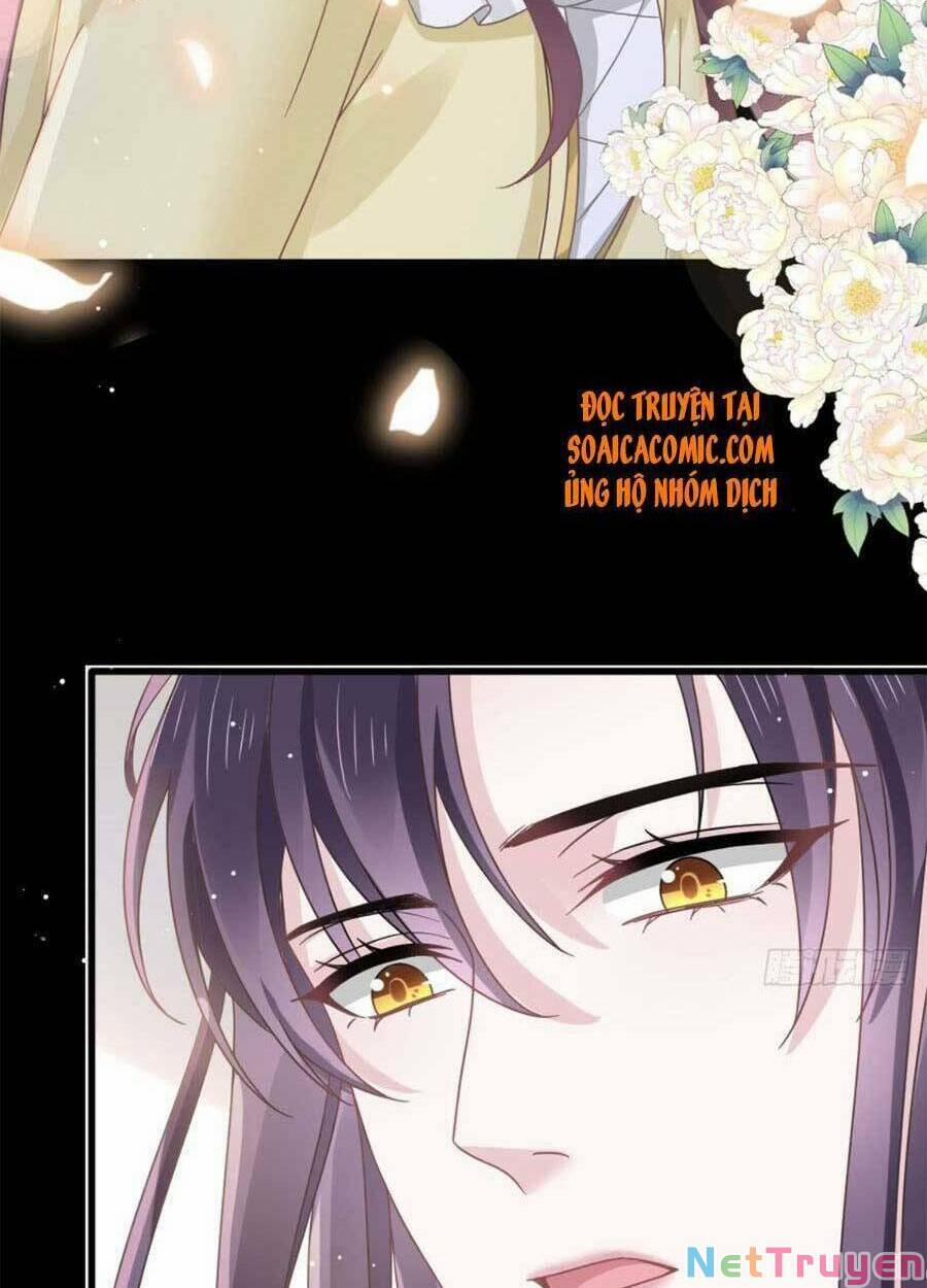Trọng Sinh Trở Thành Món Tráng Miệng Của Tổng Tài Ma Cà Rồng 50 trang 21
