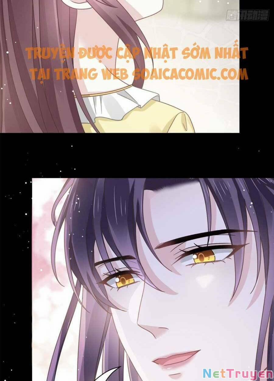 Trọng Sinh Trở Thành Món Tráng Miệng Của Tổng Tài Ma Cà Rồng 50 trang 23