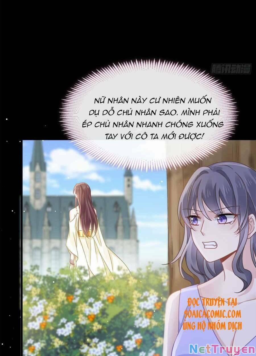 Trọng Sinh Trở Thành Món Tráng Miệng Của Tổng Tài Ma Cà Rồng 50 trang 33