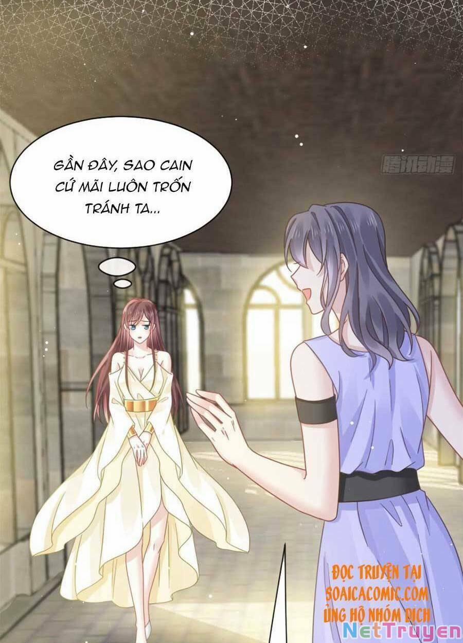 Trọng Sinh Trở Thành Món Tráng Miệng Của Tổng Tài Ma Cà Rồng 50 trang 35