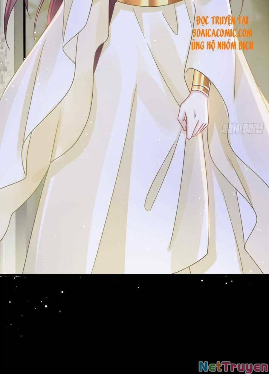 Trọng Sinh Trở Thành Món Tráng Miệng Của Tổng Tài Ma Cà Rồng 50 trang 48